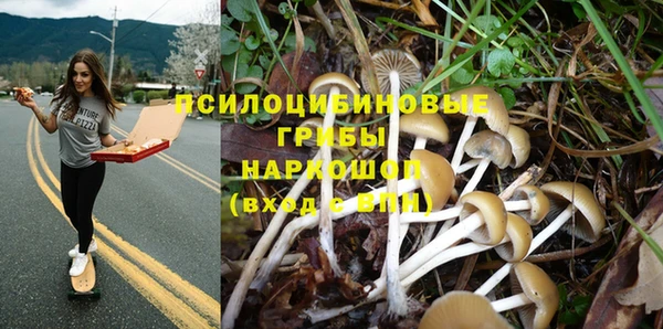 Альфа ПВП Богданович