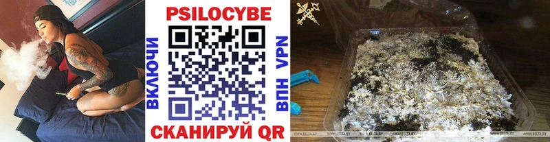 Купить закладки  Гай  Галлюциногенные грибы мицелий 
